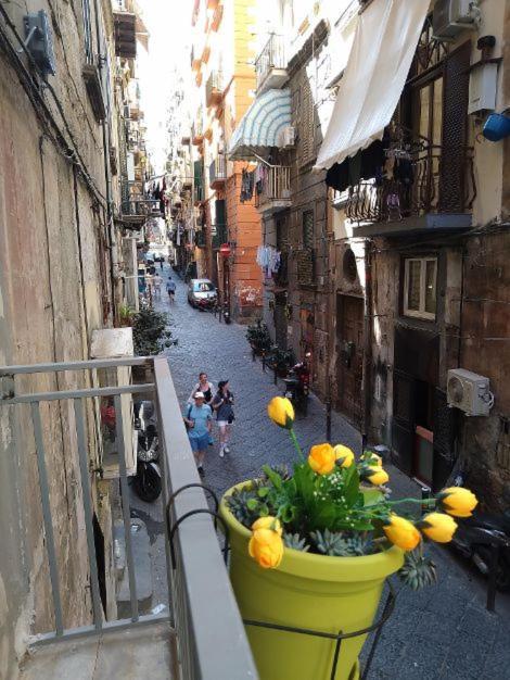 Apartament La Conchiglia Napoli Zewnętrze zdjęcie
