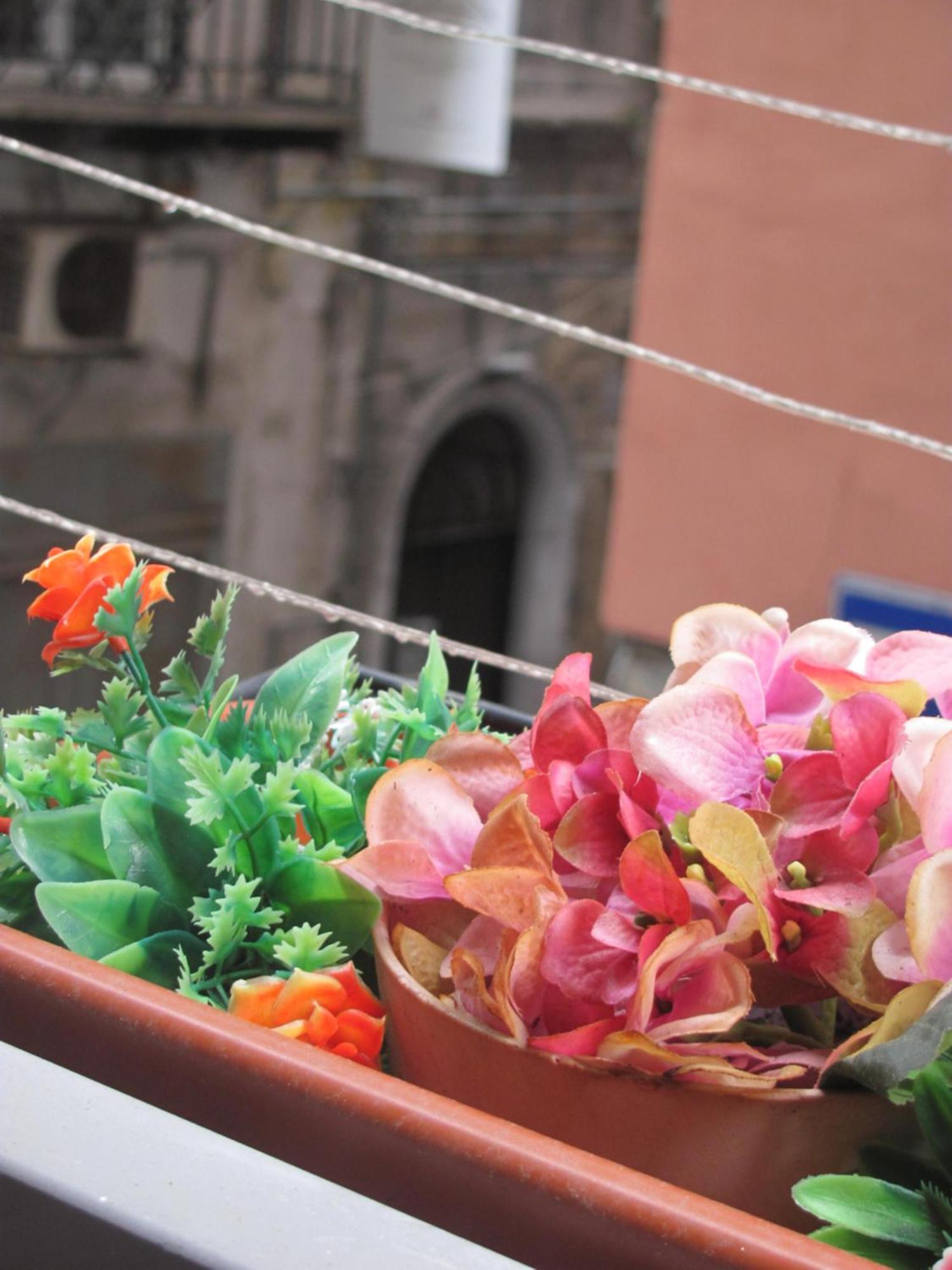 Apartament La Conchiglia Napoli Zewnętrze zdjęcie